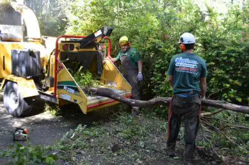 tree services West Liberty